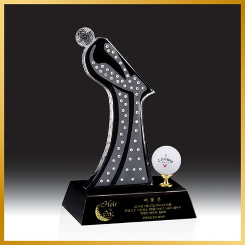트로피 Hb-9167 골프 대회 시상식 메달리스트 골프싱글패 골프이글패 홀인원트로피 - 케이스타어워드
